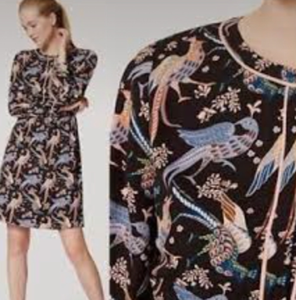 LOFT Peacock Bird Shirt Dress 10 10P Black Pink Blue Romantic Academia Career
